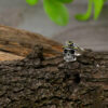oly-8757ff469a1bcca2e4924d2dd9be9e60 Wholesale Retro Gothic Skull Ring Hip Hop Street Style Silver Unisex Jewelry Accessory Gift