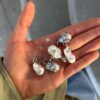 oly-89cfe7e0f35945003ae5fd0fba16af07 Wholesale Electroplated Copper Irregular Baroque Pearl Necklace With Spike Pendant Fashion Accessory For Women Gift