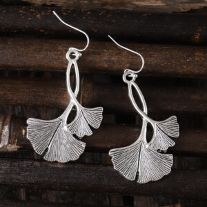 a pair of earrings