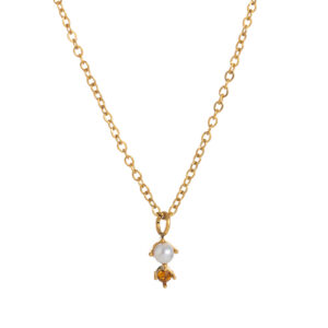 November necklace