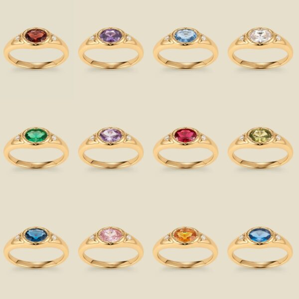 Wholesale Twelve Birthstone Ring In Stainless Steel Electroplated Tone Vacuum Plated Fashion Jewelry Accessory For Everyday Wear