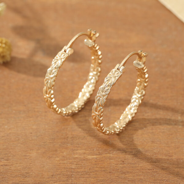 oly-e3701ef2f315400ea959fca2b7531f71 Wholesale Chic Geometric Matte Brushed Hoop Earrings For Women Zinc Alloy Stylish Jewelry Accessory Boutique Resale
