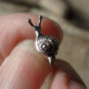 Wholesale Retro Cute Snail Earrings Ethnic Style Zinc Alloy Silver Jewelry Accessory Boutique Resale